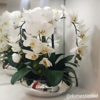 Arreglo con flores de orquideas